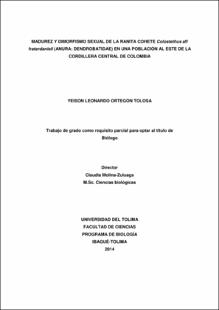 Miniatura