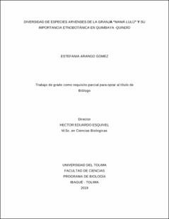 Miniatura