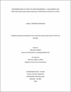 Miniatura