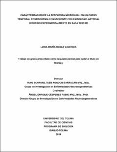 Miniatura