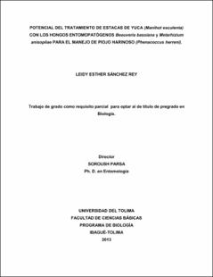 Miniatura